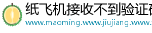 纸飞机接收不到验证码